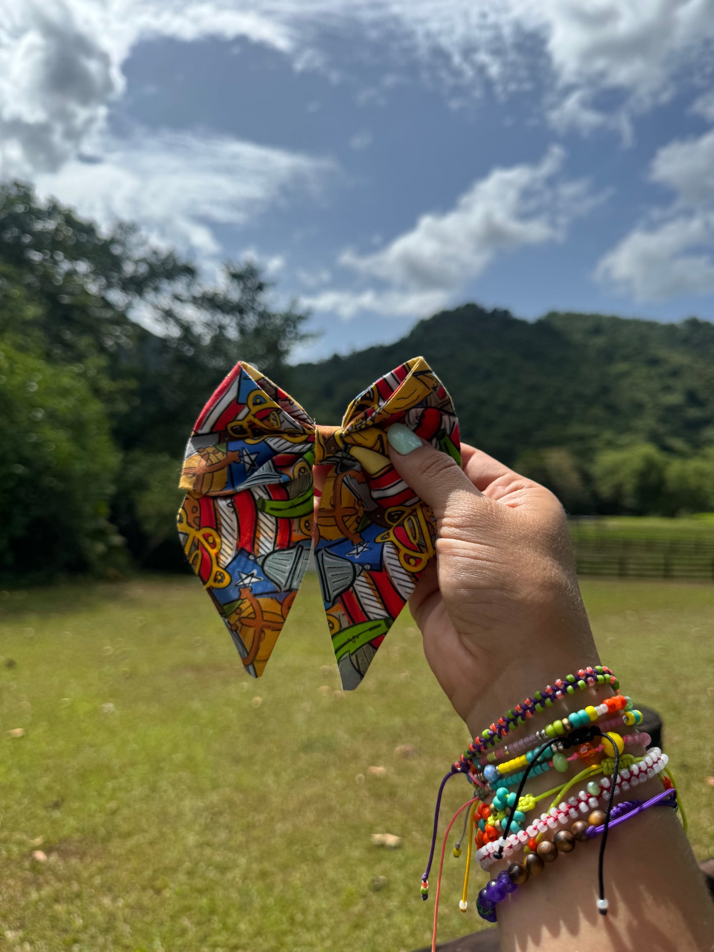 Bow - Nuestras Raices